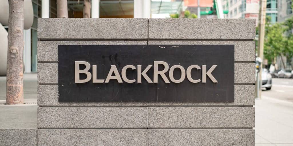 BlackRock meldet Gewinneinbußen